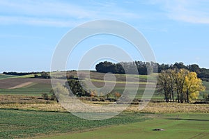 swampland ThÃ¼rer Wiesen with fields and autumn trees