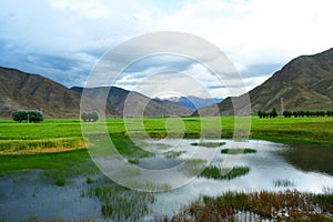 The swampland of tibet