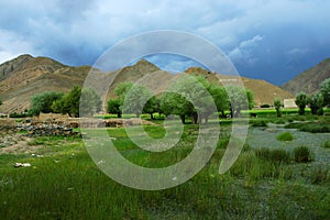 The swampland of tibet