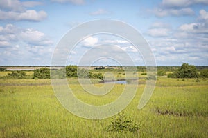 Swamplands in St. Augustine, Florida by Fort Matanza photo