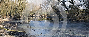 Swamps in autumn. Cool dark lake in primeval forest. Cold melancholic landscape.