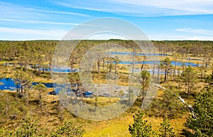 Swamps in Estonia