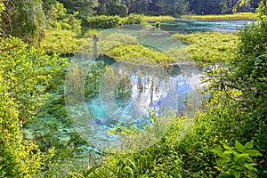 Swamps Of Natural Springs Water