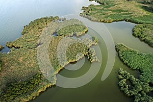 Swampy lake, aerial photography, on a summer day