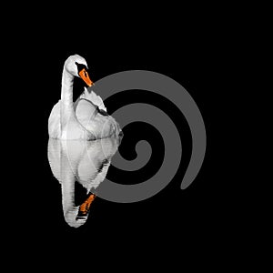 SWAN