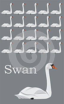 Swan