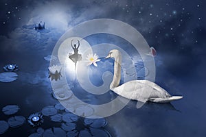 Swan with ballerina at moon photo