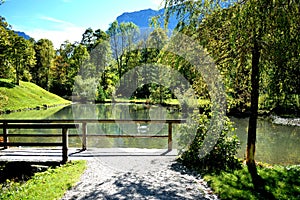 Swan on a beautiful lake in Germany amid mountains and a blue sky photo