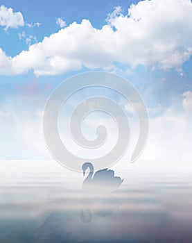 Swan silhouette on lake blue sky with clouds wallpaper