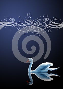 The swan on blue background