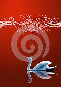 The swan on blue background