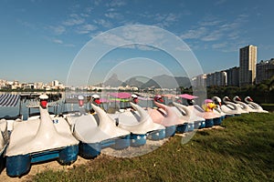 Swan Boats at the Lagoon photo