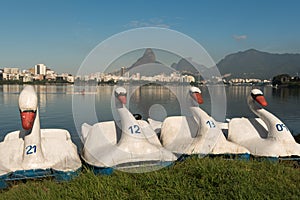 Swan Boats at the Lagoon photo