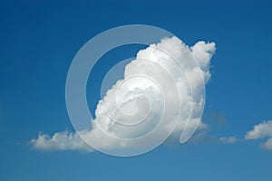 Swan-cloud