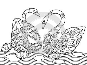 Swan coloring book for adults vector