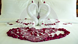 Swan couple put on honeymoon bed look like heart shape with rose petals for honeymoon lover.