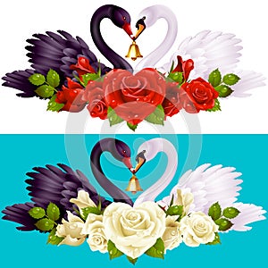 Swan Couple, Roses and Hearts