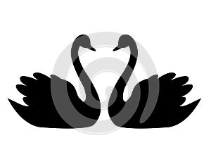 Swan couple / wedding graphic