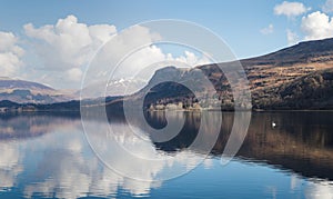 Swan on Derwent Water