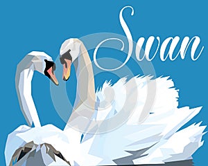 Swan Fall in Love, Birds Couple Kiss, Two Animal Heart Shape pop art