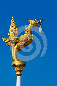 Swan golden Mythic animals