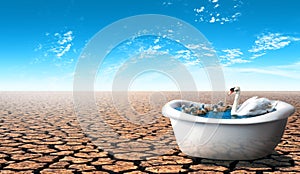 Swan and her babies inside a bathtub in a dry hot desert