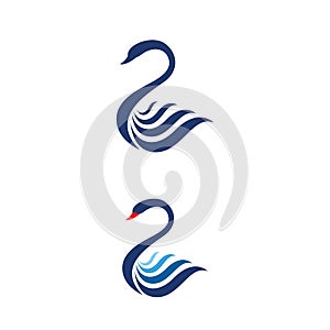 Swan icon Template vector illustration