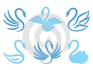 Swan icons or birds icon for natural care eco life