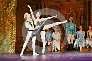 Swan Lake ballet performance