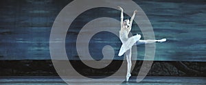 Swan lake ballet performed by russian royal ballet