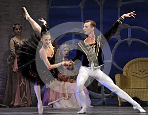 Swan lake ballet performed by russian royal ballet