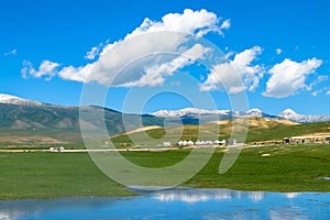 Swan Lake in Bayanbulak Grasslands in Xinjiang