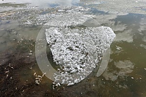 Swan Lake by Kaidu River in Bayanbulak  in early Spring