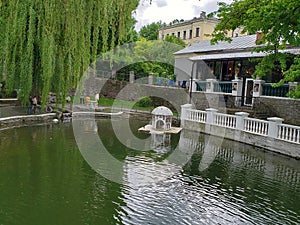 Swan lake, popular place of Kamianets-Podilskyi city in Ukraine