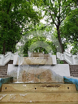 Swan lake, popular place of Kamianets-Podilskyi city in Ukraine