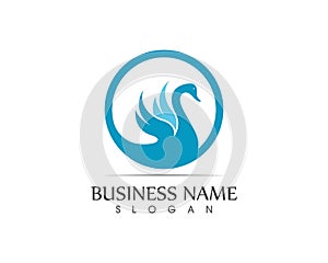 Swan logo design template