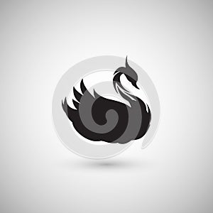 Swan logo design, vector bird illustration