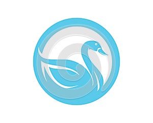 Swan logo and symbols animals template icons