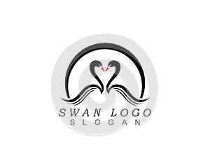 Swan logo Template vector illustration design.