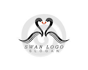 Swan logo Template vector illustration design.