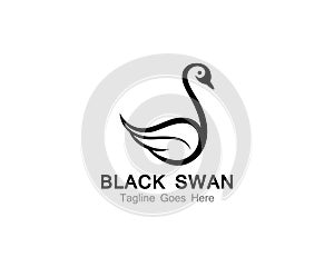 Swan logo Template vector illustration design