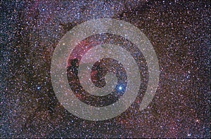 Swan nebulae regione, nearby the star Deneb photo