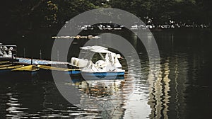 Swan paddle boats in Lumpini Park, Bangkok