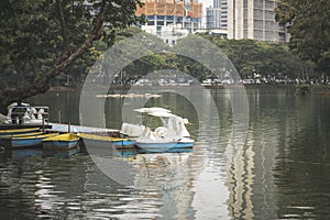 Swan paddle boats in Lumpini Park, Bangkok