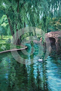 Swan in a Park Pond