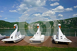 Swan pedal boats photo