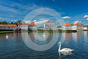 Swan in pond near Nymphenburg Palace. Munich, Bavaria, Germany