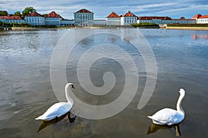 Swan in pond near Nymphenburg Palace. Munich, Bavaria, Germany