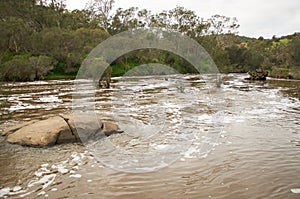 Swan River Landscape