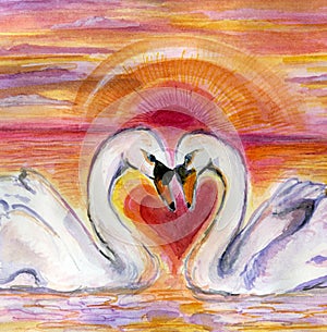 Swan Romance